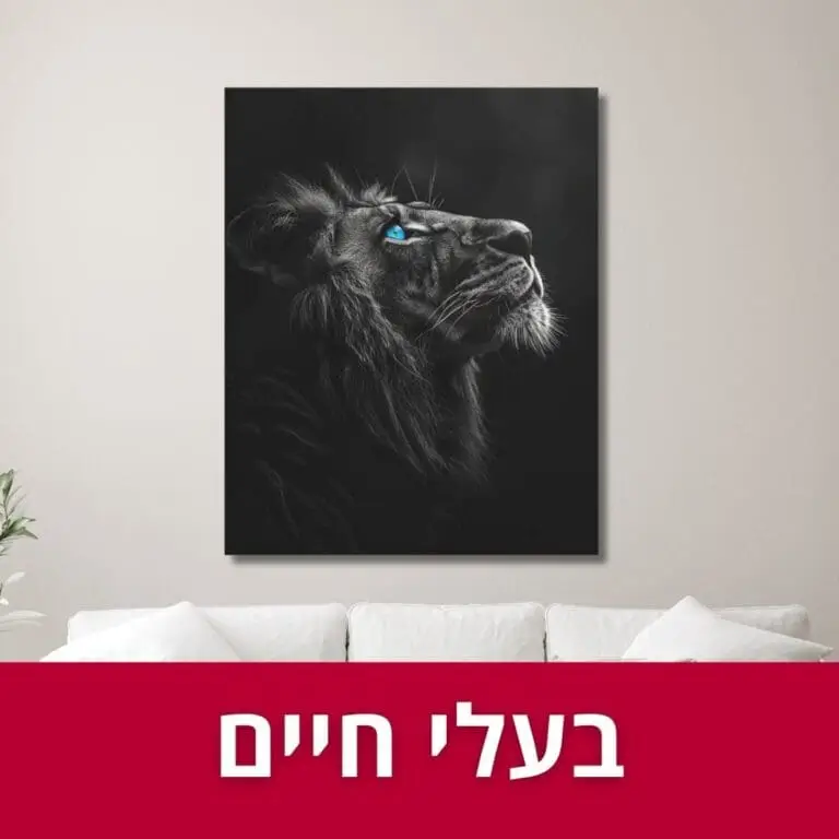 GenerART | דף הבית